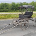 Voiture à cheval, calèche, carriole à chevaux, buggy - 2