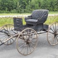 Voiture à cheval, calèche, carriole à chevaux, buggy - 5