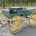 Vintage horse express wagon with John Deere Colors - 5
